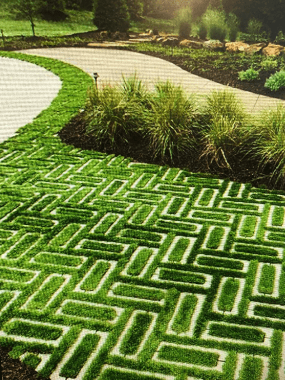 Artistic plant arrangements
