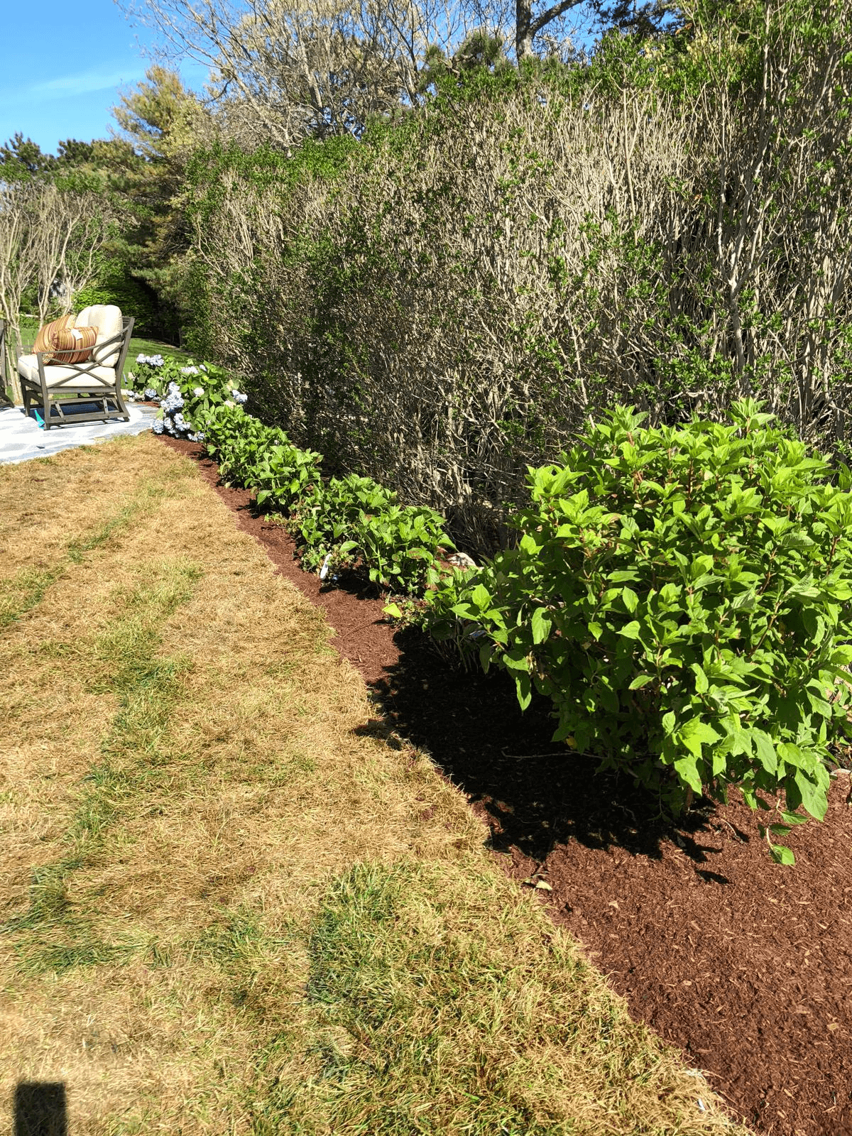 Plant installation