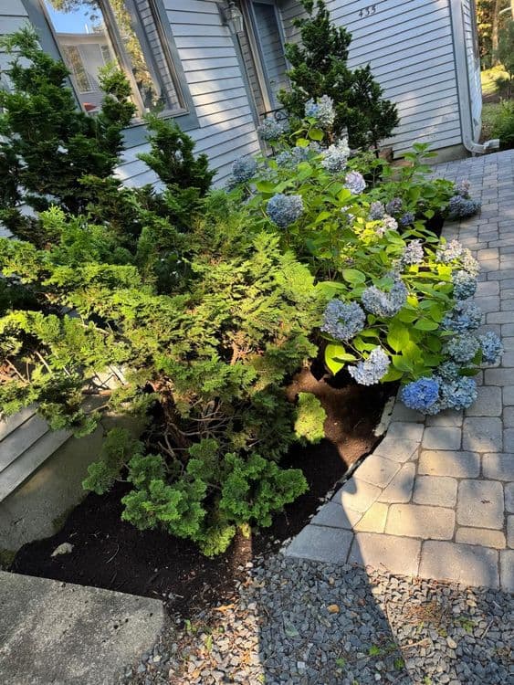 Imagem do WhatsApp de 2025-09-02 à(s) 13.57.00_e1cc3d92.jpg