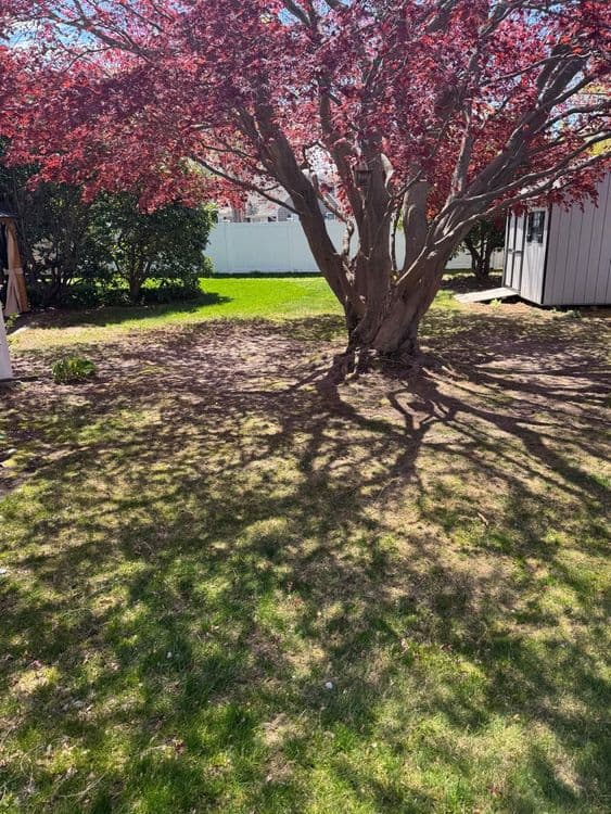 Imagem do WhatsApp de 2025-09-02 à(s) 13.58.12_9260bb9a.jpg